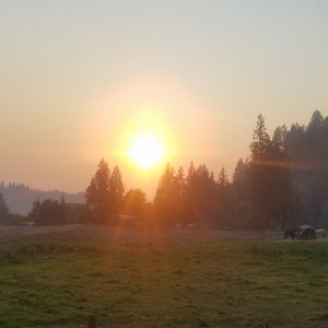 Meet your Posher, Roland